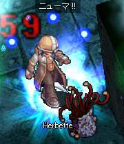 herbette.jpg