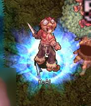 kal.jpg