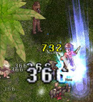 mure02.jpg