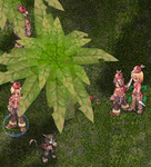 mure03.jpg