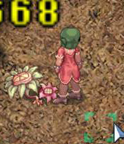 rirusyu2.jpg