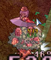 saifon.jpg
