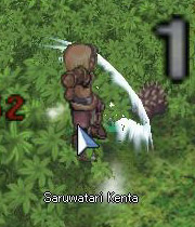 saruwatarikenta.jpg